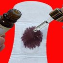 리빙강선생 이미지