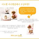 바우미우 이미지