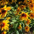 석남완충녹지공원 이미지