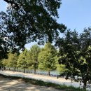 제림전자 | 담양 가볼만한곳 담양 놀거리 코스 추천