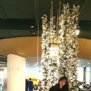 SKY FOOD 이미지