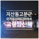 미디어 | 고령 국가유산 미디어아트 후기 아이와함께 밤산책하기 좋은 곳