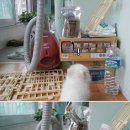 아이디얼푸드 이미지