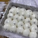 11500-22-27-08 이미지