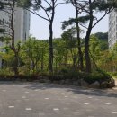 새뜸세탁소 이미지