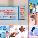 수정종묘농약사 이미지