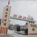 동북민박 이미지