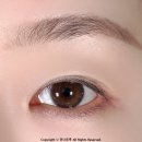 캔메이크 쁘띠 팔레트 아이즈 일본화장품 후쿠오카 아이메이크업 발색 후기