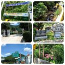 춘양면사무소 이미지