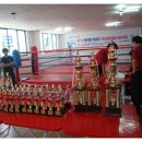 엑투 복싱 이미지