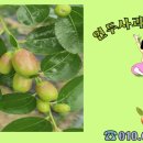 세중농장 이미지