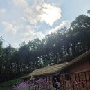 삼승보건지소 | 아이와 보은 일주일 살기 2일차｜무료 건강체험관부터 속리산 스카이바이크까지