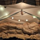 제드케어 이미지