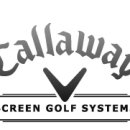 캘러스크린골프 이미지