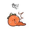 소풍날김밥
