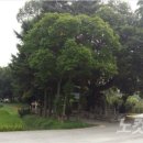 이백면 문화마을 이미지