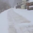 웅이네 농장 이미지