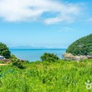 [전라남도 여수시] 동고지마을