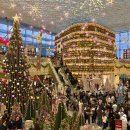 삼성작은도서관 | 삼성역 코엑스 별마당도서관 크리스마스 트리｜연말 실내 포토스팟 후기