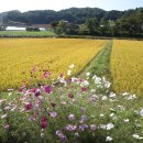 (주)들녘 이미지