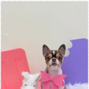 사계절, 멍 이미지