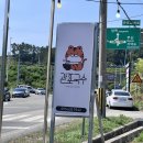 관포국수