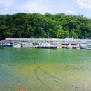 영덕대게거리 | 영덕대게거리맛집 대게궁 솔직 후기 강구항대게맛집에서 맛본 행복한 한 끼