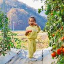 제일 팜 마트 이미지