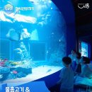 해양생태전시관 이미지