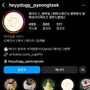 헤이도그 이미지