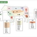 알고 먹으면 더 맛있는 소고기 부위 이미지