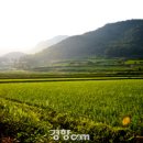 죽림마을 이미지