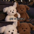바다연가펜션
