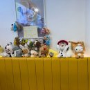 와플대학 내발산 캠퍼스 | 와플대학 만우절 깍두기 젤라또 와플 후기 | 주례캠퍼스 가격 칼로리 맛 판매매장 한정판매