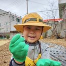 꽃가람들의 옥수수🌽감자🥔심기❤️ 이미지