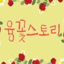스마트인스 이미지