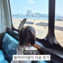 월미도 월미바다열차 이용 후기 4살 아이랑 박물관역 탑승 코스 공유