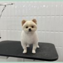 이쁘개몽 이미지