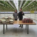 김재훈농장 이미지