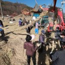 의령큰줄땡기기 이미지