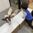 마리앤쥬 이미지