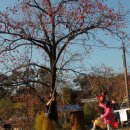 하얀민들레생태마을 이미지