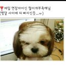 ♡ 벙 공지 ㅡㅡㅡ이런(155) 이미지