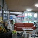 타이어우즈 이미지