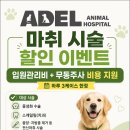 아델동물병원 이미지