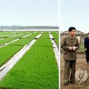 최영림농장 이미지