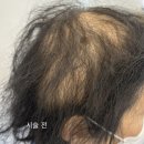 TS골프아카데미 네이버블로그