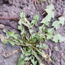 행선농장 이미지