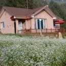 산골쉼터 이미지