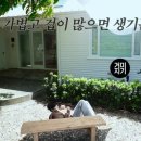 비 온 뒤에 땅이 굳고 다시금 꽃이 피듯이